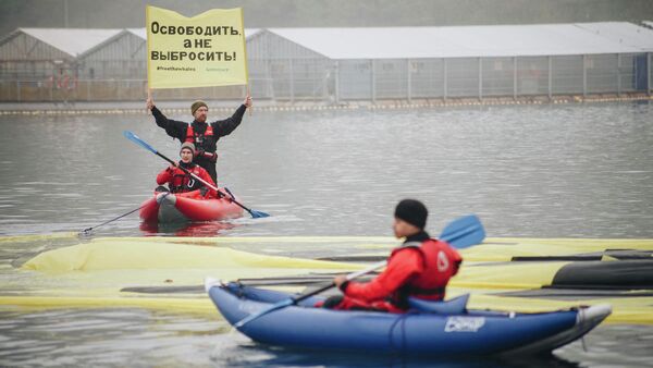 Активисты Гринпис провели акцию возле китовой тюрьмы в Средней бухте. 16 мая 2019