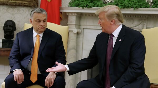 Президент США Дональд Трамп и премьер-министр Венгрии Виктор Орбан во время встречи в Вашингтоне. 13 мая 2019