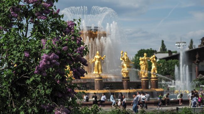 Цветение сирени на ВДНХ в Москве