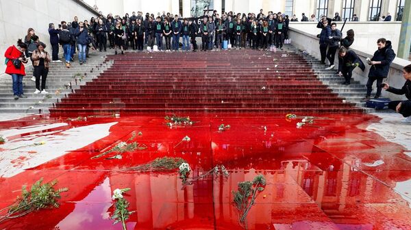 Парижскую площадь Трокадеро залили кровью