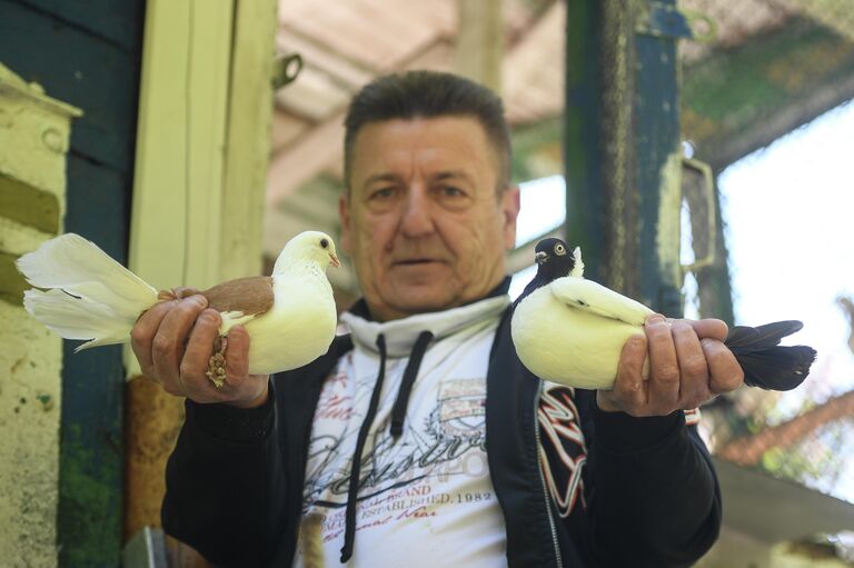 Рафаэль Хамидуллин, хозяин голубятни Рафаэль Хамидуллин, хозяин голубятни