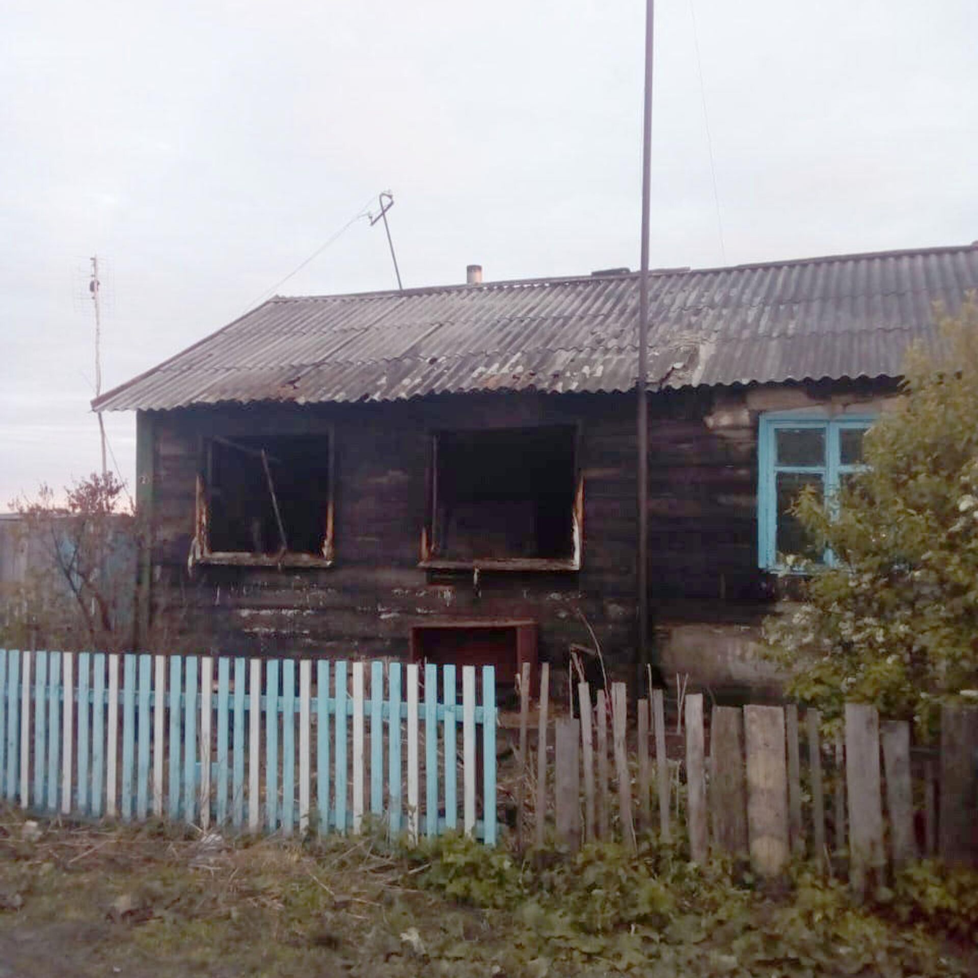 Погода в сибирцево 1 венгеровский