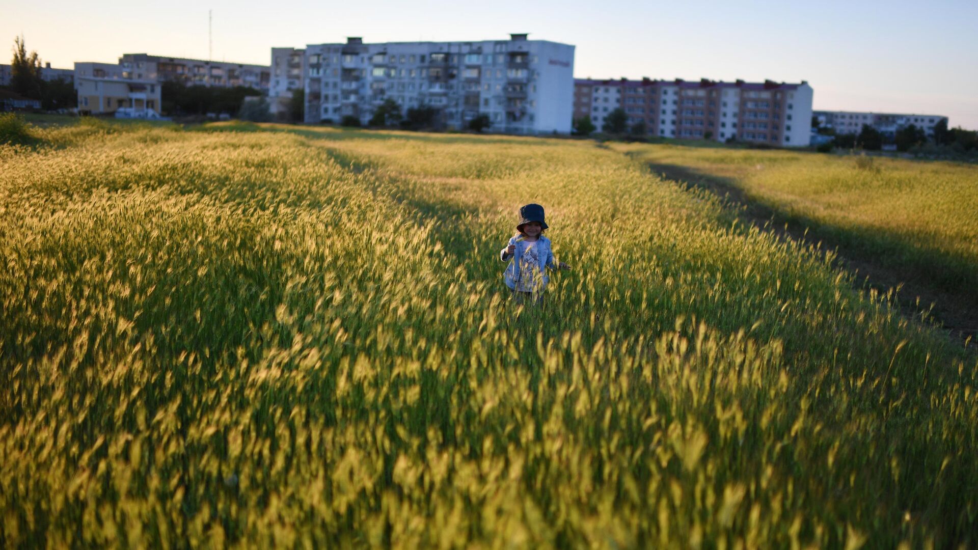Ребенок гуляет по полю в поселке Мирный в Крыму - РИА Новости, 1920, 28.05.2019