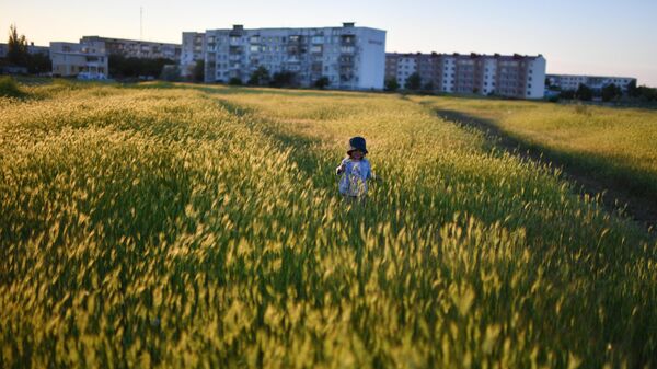 Ребенок гуляет по полю в поселке Мирный в Крыму