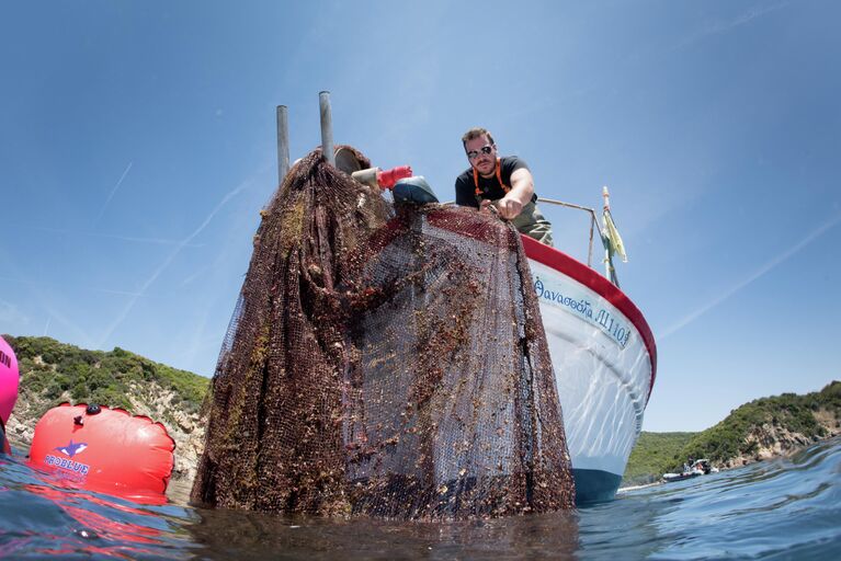 Очистка морского дна греческого полуострова от рыболовных сетей