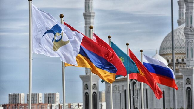 Флаги России, Киргизии, Казахстана, Белоруссии, Армении, а также с символикой Евразийского экономического союза (ЕАЭС)