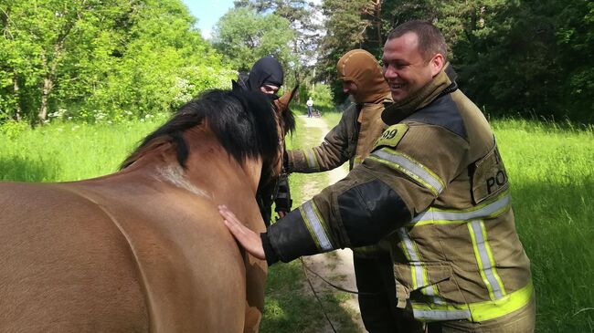 Сотрудники МЧС Калужской области с конем путешественницы Паолы Джакомини по кличке Хранитель 