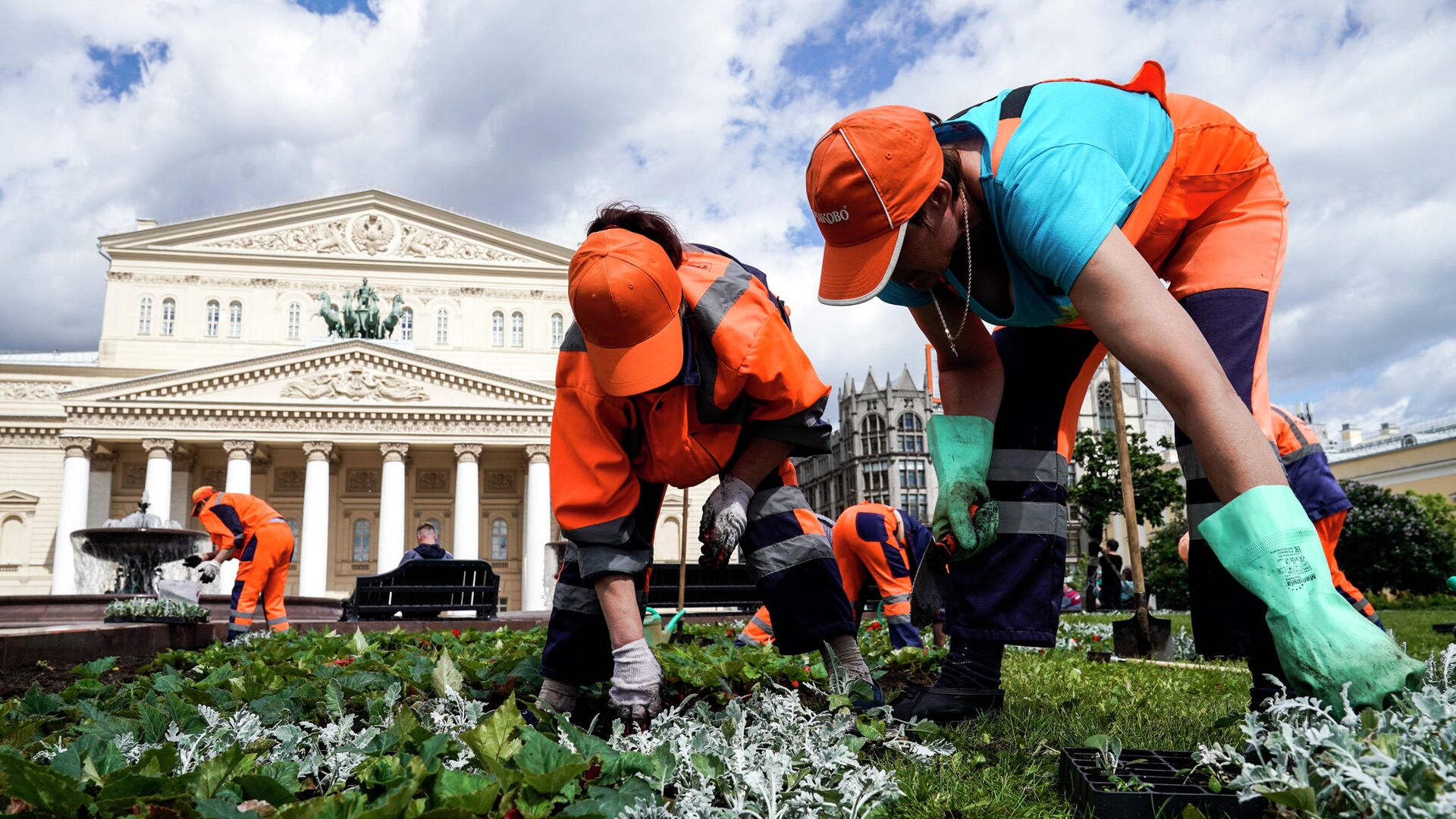 Цветники в Москве - РИА Новости, 1920, 04.06.2019