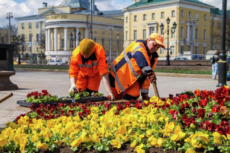 Цветники в Москве