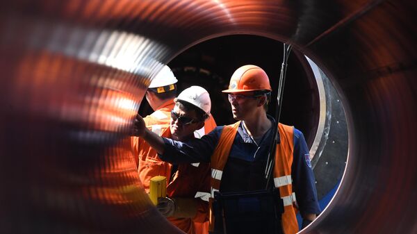 Рабочие на участке строительства газопровода Северный поток-2 в Ленинградской области