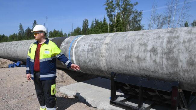 Рабочий на участке строительства газопровода Северный поток-2 в Ленинградской области