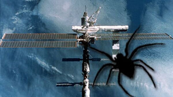 НАСА ищет паука, потерявшегося на МКС