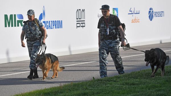 Сотрудники полиции со служебными собаками