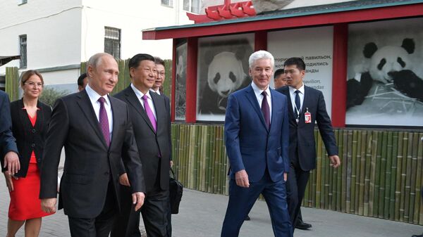 Владимир Путин и председатель КНР Си Цзиньпин принимают участие в официальной церемонии передачи правительством Китая двух больших панд Московскому зоопарку. 5 июня 2019