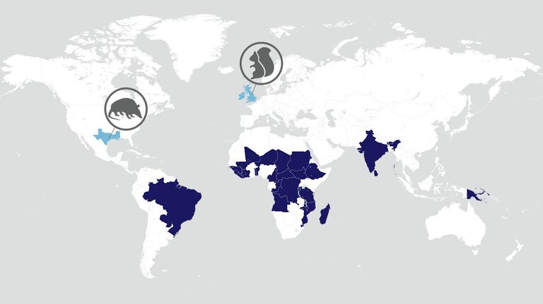 Карта распространения проказы в наши дни Карта распространения проказы в наши дни
