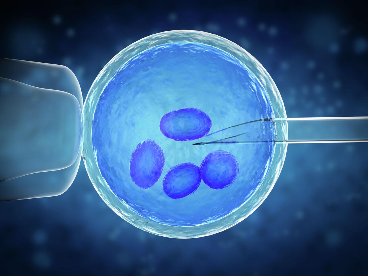 Израильские ученые создали сперматозоиды в лаборатории | СП - Новости Бельцы Молдова