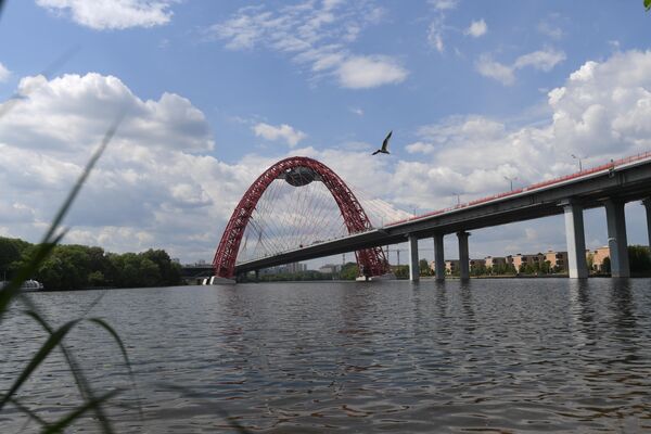 Москва-река и Живописный мост у станции Жуково-2
