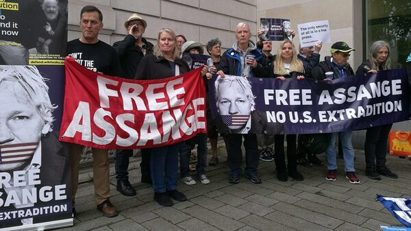 Протест против экстрадиции Джулиана Ассанжа около Вестминстерского магистратского суда в Лондоне