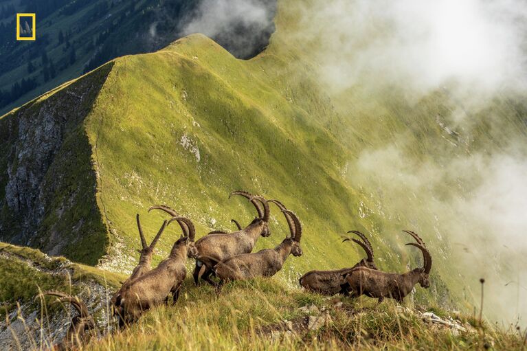 Работа фотографа JONAS SCHÄFER. Конкурс National Geographic Travel Photo - 2019