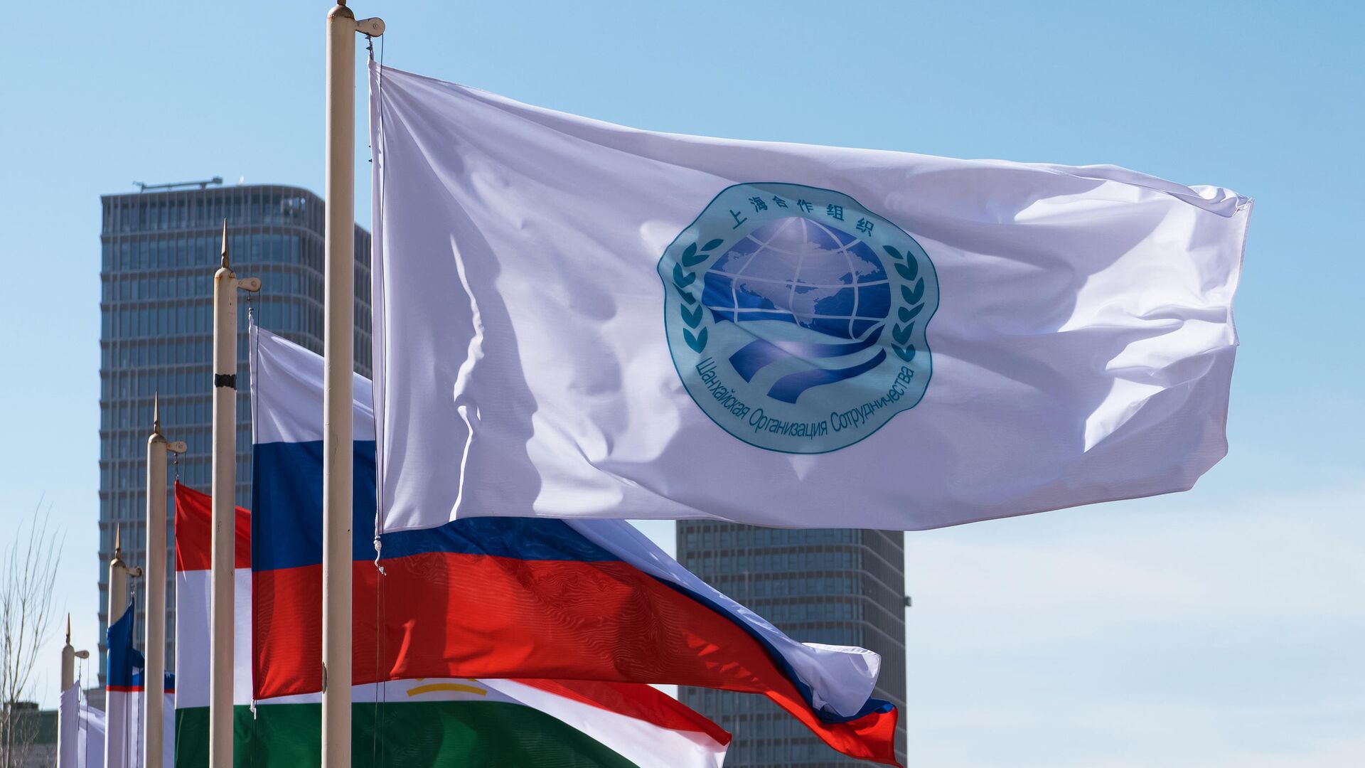 Флаг Шанхайской организации сотрудничества и флаги стран — участниц ШОС - РИА Новости, 1920, 05.01.2023