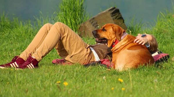 Девушка с собакой лежат на траве