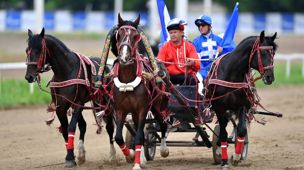 Минспорт поддержал предложение о создании федерации русской тройки