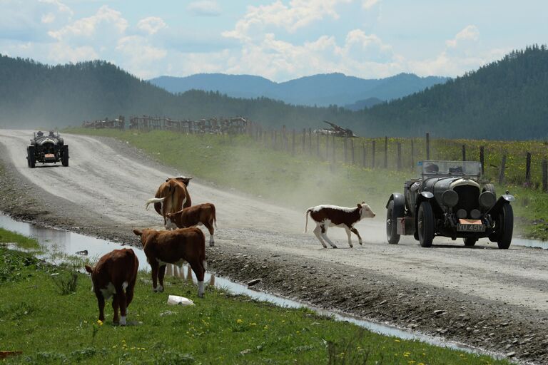 Участники международного ралли на старинных автомобилях Пекин - Париж 2019 на автомобильной дороге в Республике Алтай