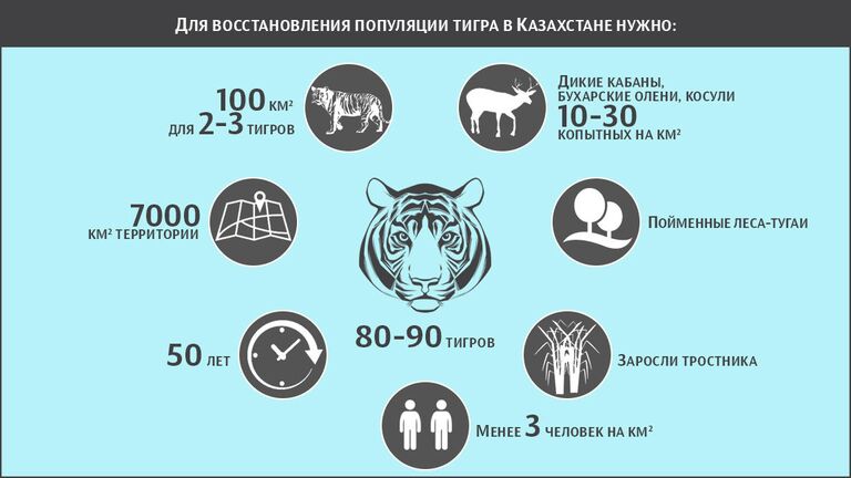 Для восстановлеия популяции тигра в Казахстане нужно Для восстановлеия популяции тигра в Казахстане нужно