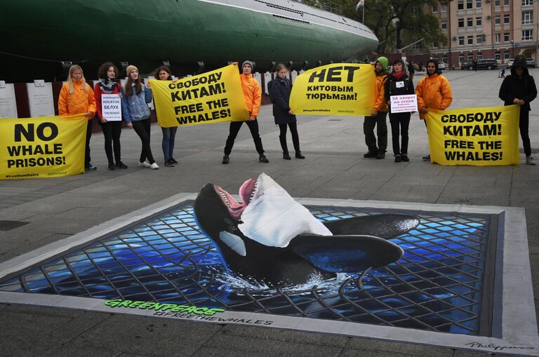 Участники пикета в защиту косаток и белух, находящихся в китовой тюрьме в бухте Средняя, на Корабельной набережной Владивостока