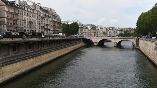 Каменный мост Сен-Мишель, соединяющий площадь Сен-Мишель c островом Сите в Париже
