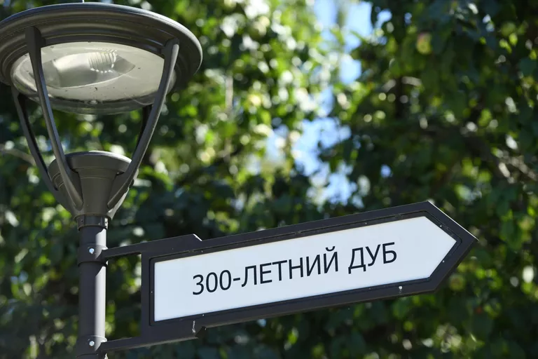 Указатель в парке Сад Будущего Указатель в парке Сад Будущего