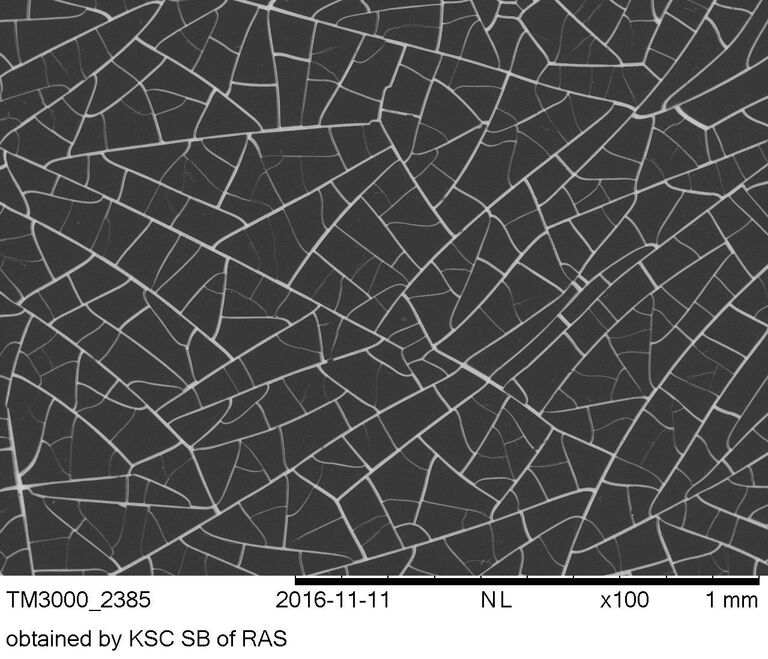 Изображение прозрачной проводящей плёнки, полученное с помощью электронного микроскопа