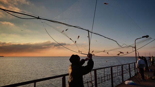 Рыбак в Мариуполе