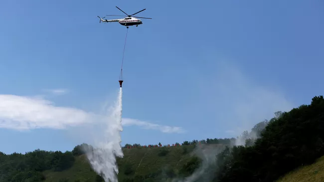 Тушение лесного пожара Тушение лесного пожара