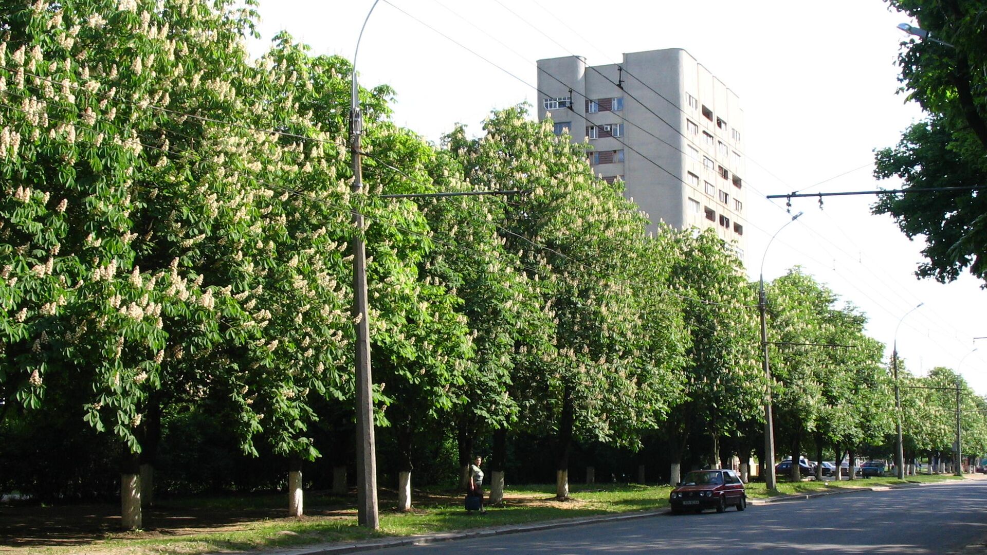 Ситуация в Харькове - РИА Новости, 1920, 03.06.2023