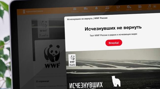 Одноклассники и WWF запустили образовательный проект о редких и исчезающих видах животных