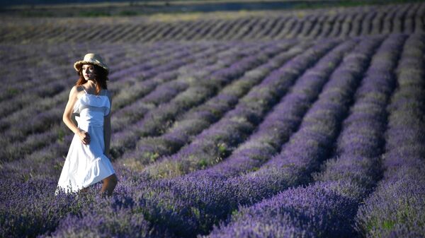 Девушка фотографируется на лавандовых полях в окрестностях села Тургеневка Республики Крым