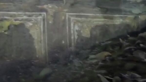 Скриншот видео с экспедиции Нептун Романа Дунаева в Крыму