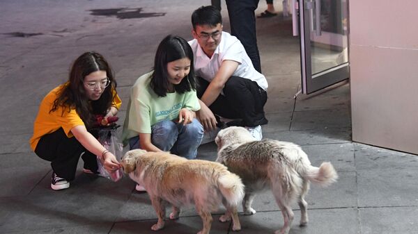 Девушки кормят собак на одной из улиц в Хух-Хото в Автономном районе Внутренняя Монголия в Китае
