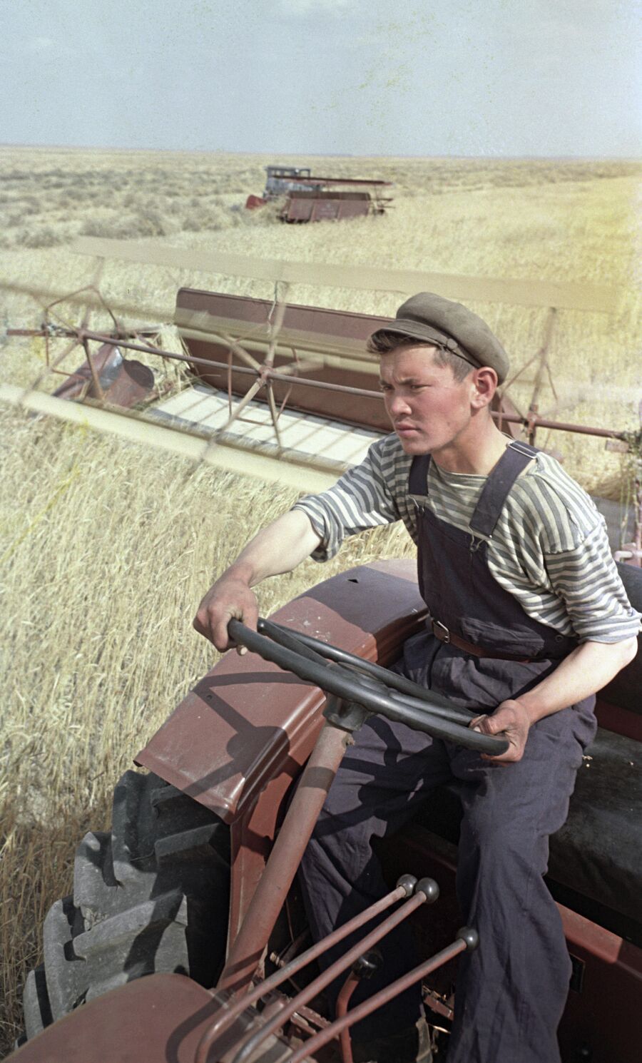 Тракторист целинного зерносовхоза ведет косовицу хлебов