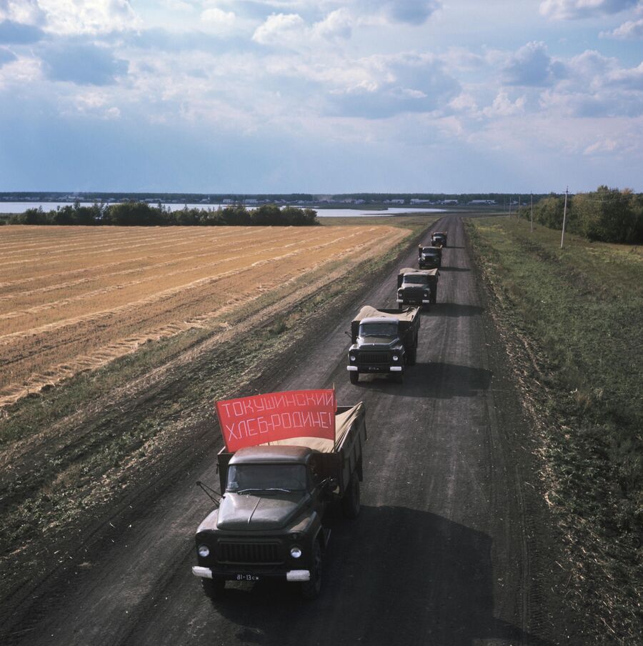 Автоколонна с зерном целинного совхоза Токушинский Северо-Казахстанской области везет урожай на элеватор