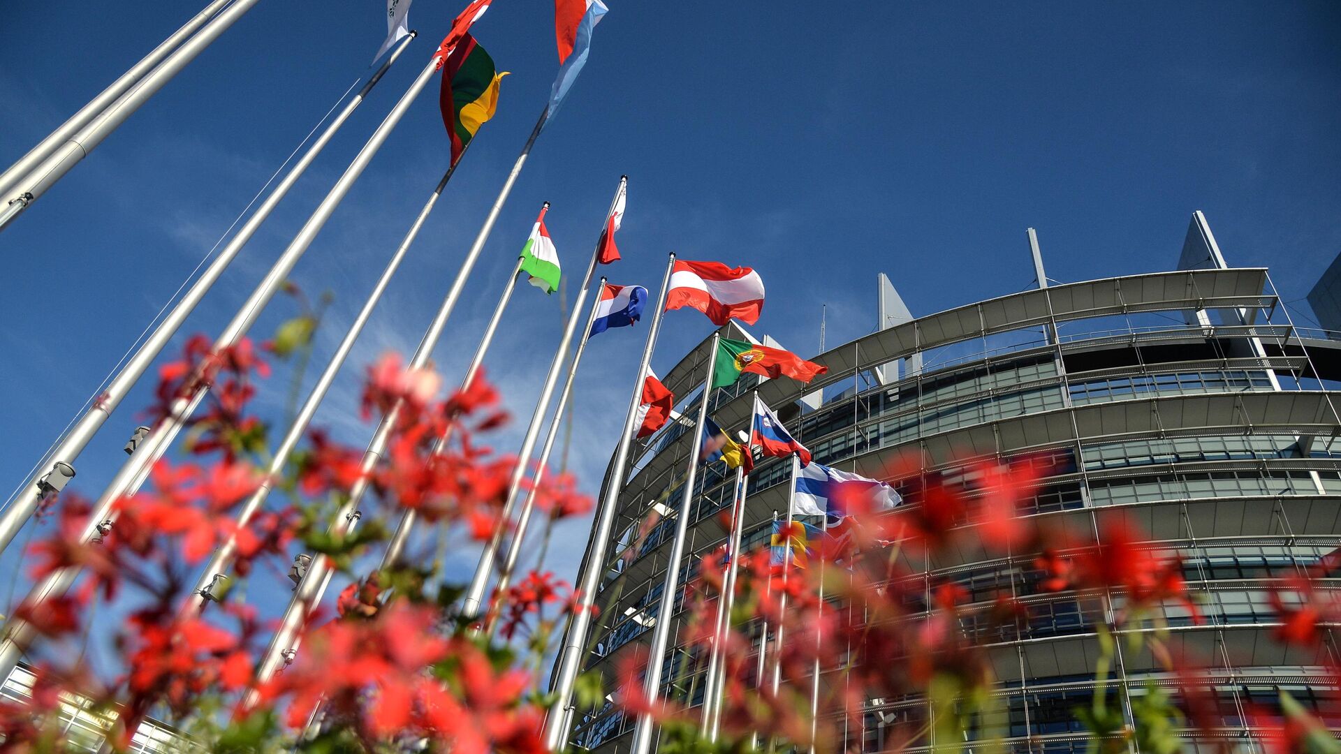 Флаги возле Дворца Европы в Страсбурге - РИА Новости, 1920, 07.09.2019