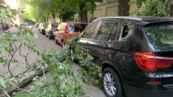 Ветви дерева, поваленного сильным ветром, во дворе района Хамовники в Москве. 4 июля 2019 