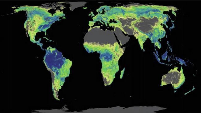 Карта лесов Земли, подготовленная швейцарскими климатологами