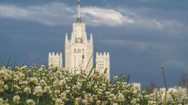 Лето в Москве