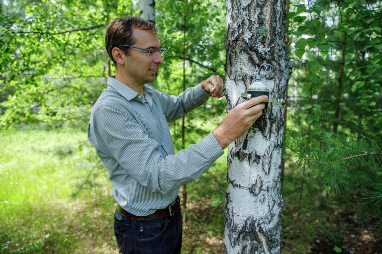 Йозеф Урбан устанавливает датчик роста ствола Йозеф Урбан устанавливает датчик роста ствола
