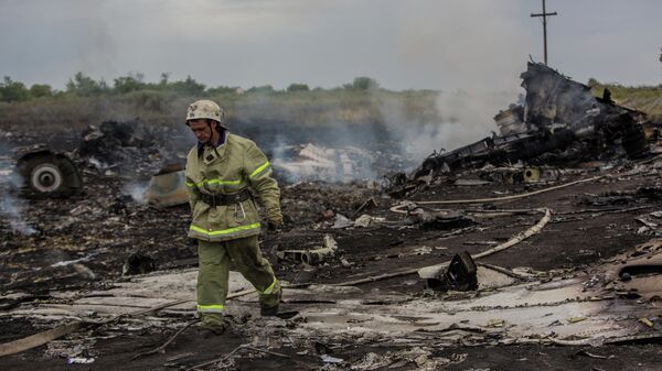На месте крушения малайзийского самолета Boeing 777 в районе города Шахтерск Донецкой областиКрушение малайзийского Boeing на Украине