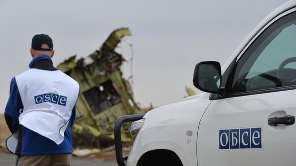 Представители ОБСЕ на месте крушения малайзийского самолета Boeing, выполнявшего рейс MH17 Амстердам — Куала-Лумпур