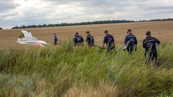 Сбор тел погибших при крушении лайнера Boeing 777 Малайзийских авиалиний в районе города Шахтерск Донецкой области