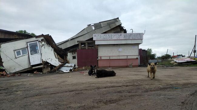 Последствия паводка в Тулунском районе Иркутской области